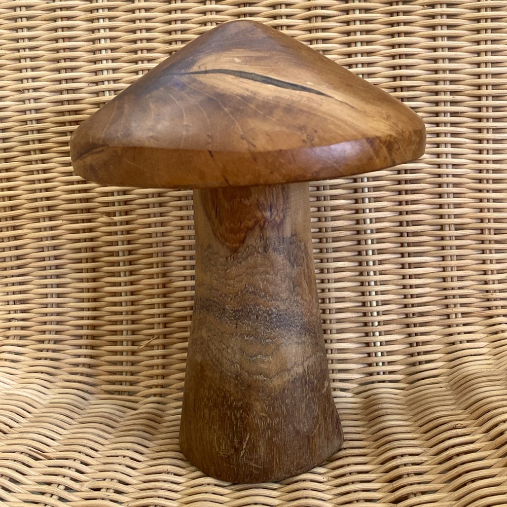 Wood Mushroom